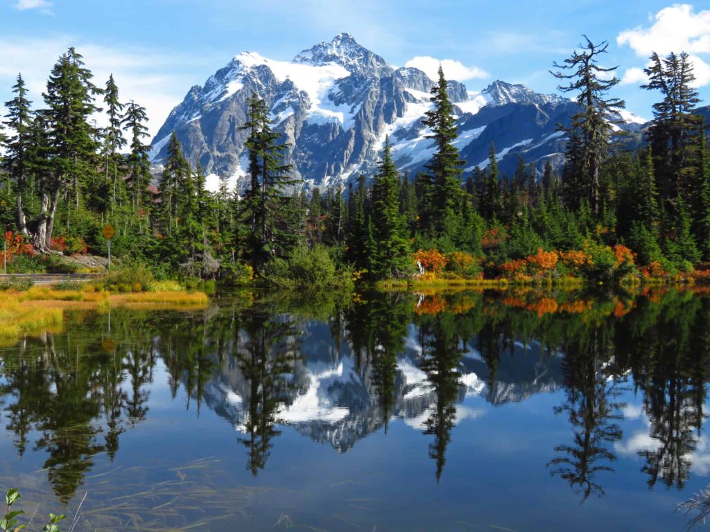 Best High-Resolution Images and Free Downloads